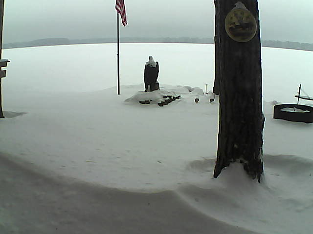 Whiteface Cam Image - Fri, 01/01/2021 8:16am 