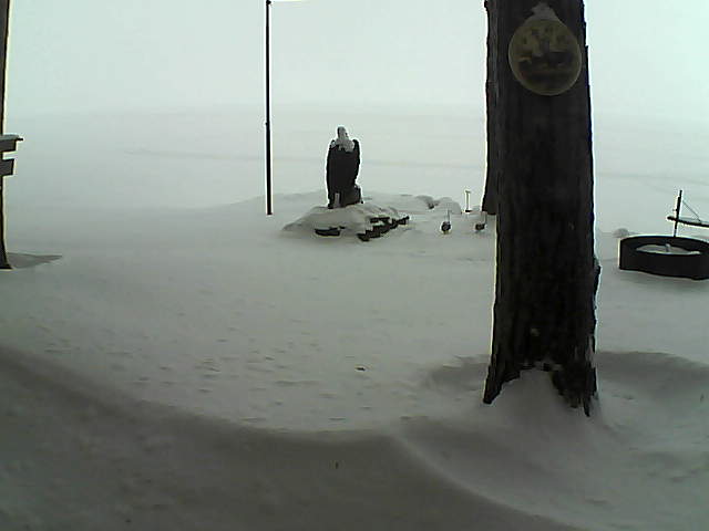 Whiteface Cam Image - Sat, 01/02/2021 8:15am 