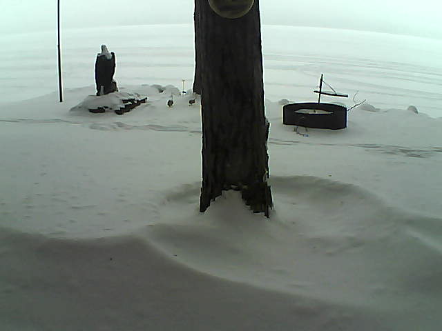 Whiteface Cam Image - Mon, 01/04/2021 8:05am 