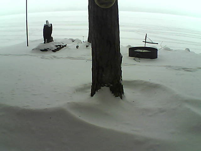 Whiteface Cam Image - Mon, 01/04/2021 8:35am 