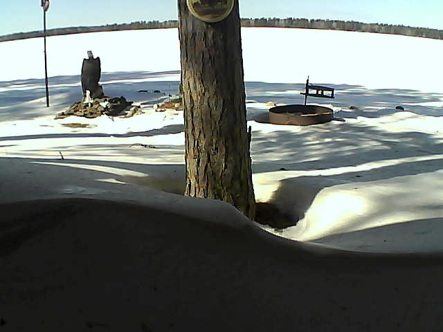 Whiteface Cam Image - Thu, 03/04/2021 1:23pm 