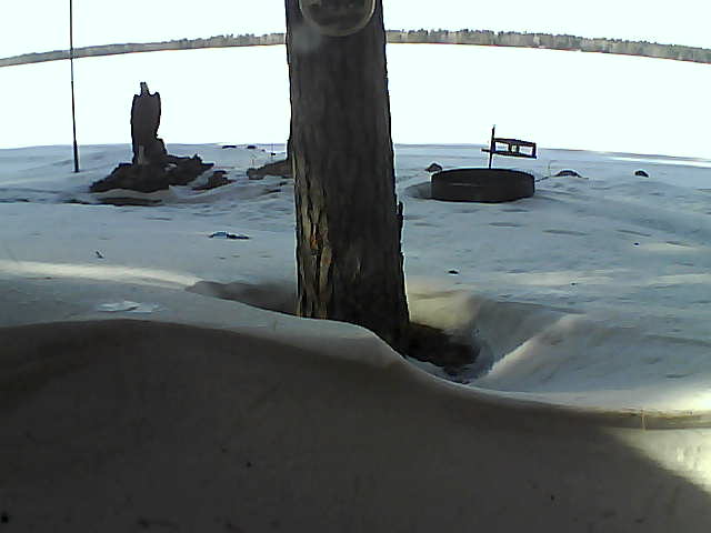 Whiteface Cam Image - Fri, 03/05/2021 2:45pm 