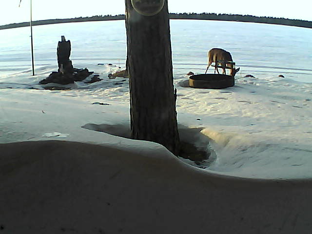 Whiteface Cam Image - Fri, 03/05/2021 5:38pm 