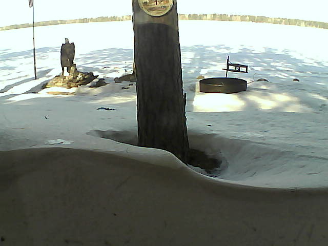 Whiteface Cam Image - Sat, 03/06/2021 10:06am 