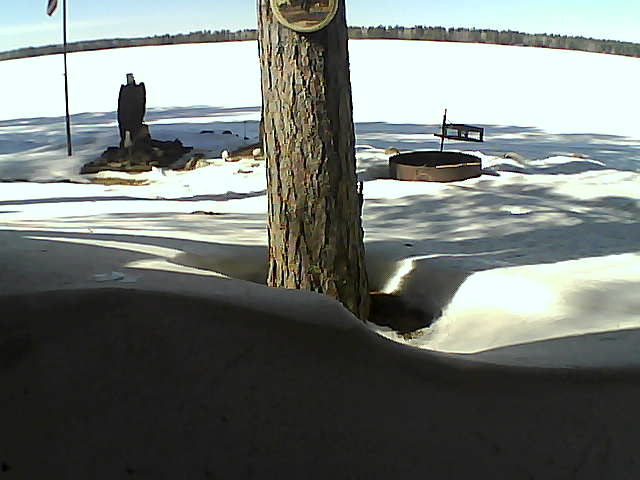 Whiteface Cam Image - Sat, 03/06/2021 1:31pm 