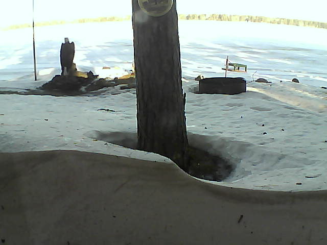 Whiteface Cam Image - Mon, 03/08/2021 8:25am 