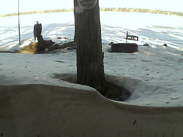 Whiteface Cam Image - Mon, 03/08/2021 9:07am 