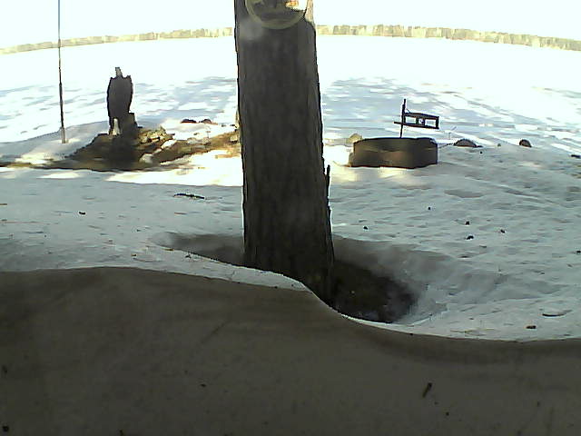 Whiteface Cam Image - Mon, 03/08/2021 9:31am 
