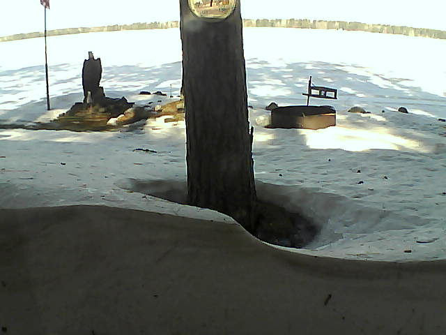 Whiteface Cam Image - Mon, 03/08/2021 9:45am 