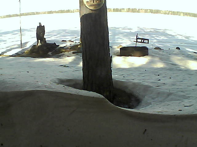 Whiteface Cam Image - Mon, 03/08/2021 9:59am 