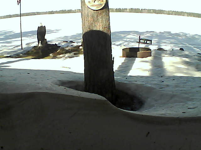 Whiteface Cam Image - Mon, 03/08/2021 10:40am 