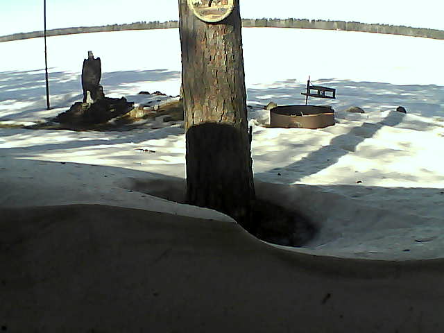 Whiteface Cam Image - Mon, 03/08/2021 11:36am 