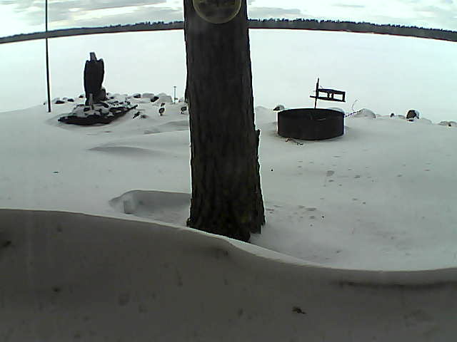 Whiteface Cam Image - Thu, 03/11/2021 4:33pm 