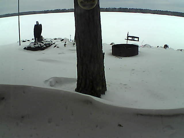 Whiteface Cam Image - Thu, 03/11/2021 5:44pm 