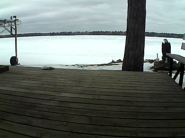 Whiteface Cam Image - Tue, 03/16/2021 1:43pm 