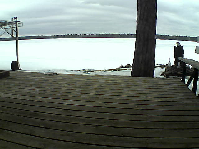 Whiteface Cam Image - Tue, 03/16/2021 2:03pm 