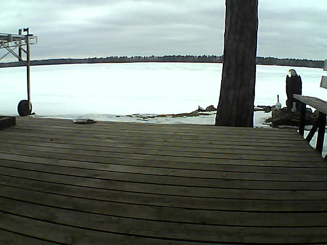 Whiteface Cam Image - Tue, 03/16/2021 2:29pm 