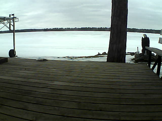 Whiteface Cam Image - Tue, 03/16/2021 3:46pm 