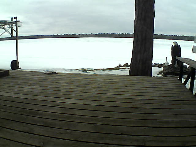 Whiteface Cam Image - Tue, 03/16/2021 4:38pm 