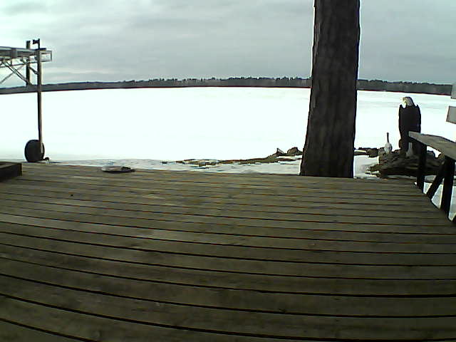 Whiteface Cam Image - Tue, 03/16/2021 4:55pm 