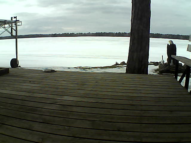 Whiteface Cam Image - Tue, 03/16/2021 5:24pm 