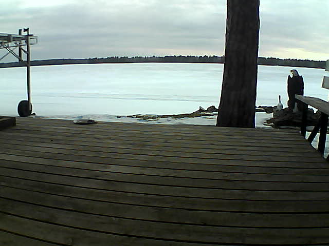 Whiteface Cam Image - Tue, 03/16/2021 6:56pm 