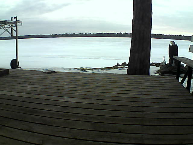 Whiteface Cam Image - Tue, 03/16/2021 7:10pm 