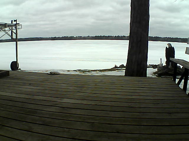 Whiteface Cam Image - Wed, 03/17/2021 10:36am 