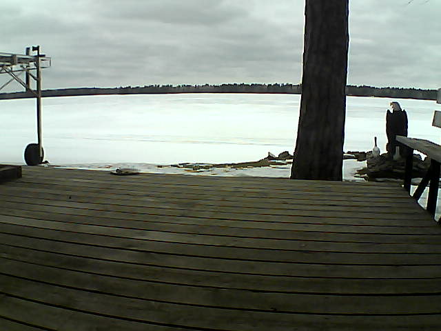 Whiteface Cam Image - Wed, 03/17/2021 11:20am 