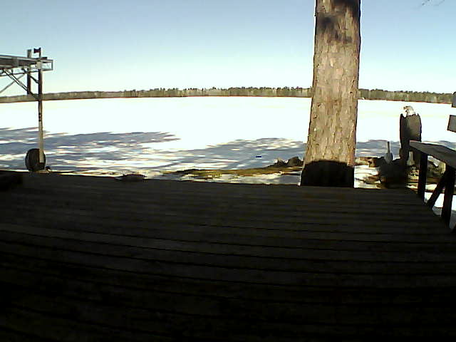 Whiteface Cam Image - Thu, 03/18/2021 11:21am 