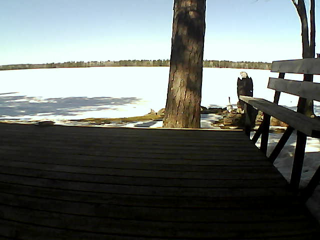 Whiteface Cam Image - Thu, 03/18/2021 12:24pm 