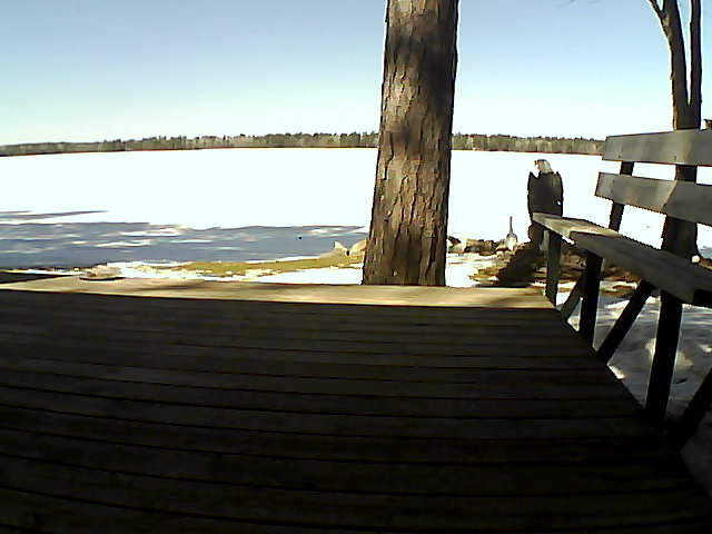 Whiteface Cam Image - Thu, 03/18/2021 1:13pm 