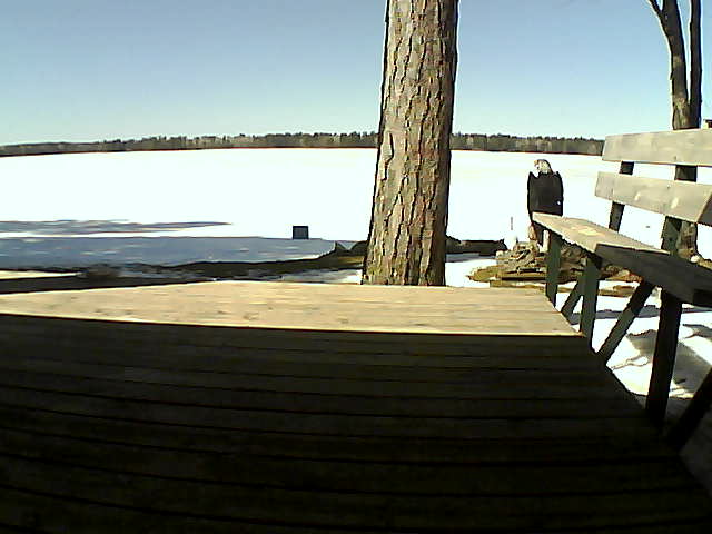 Whiteface Cam Image - Thu, 03/18/2021 2:11pm 