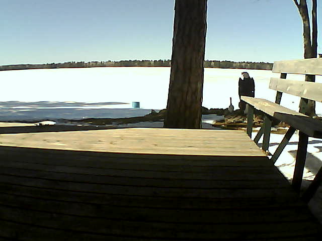 Whiteface Cam Image - Thu, 03/18/2021 2:28pm 