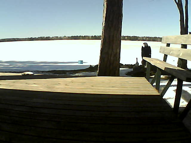 Whiteface Cam Image - Thu, 03/18/2021 2:39pm 