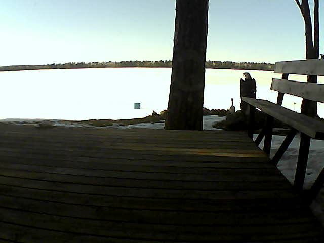 Whiteface Cam Image - Thu, 03/18/2021 4:51pm 