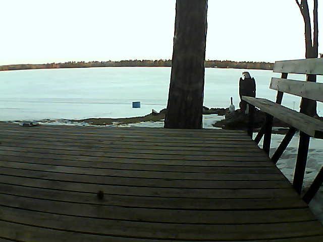 Whiteface Cam Image - Fri, 03/19/2021 7:18am 