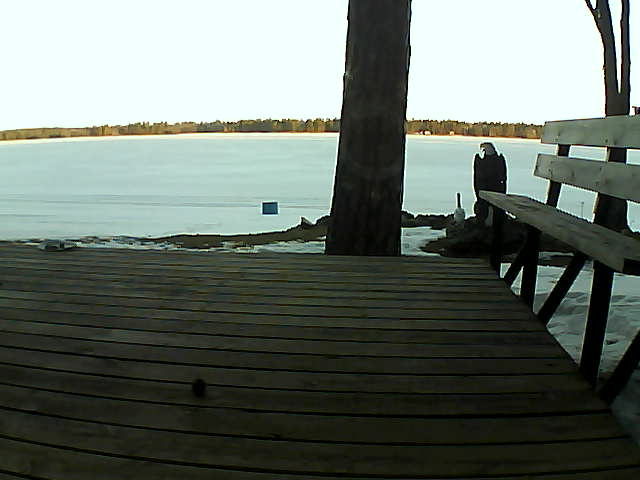 Whiteface Cam Image - Fri, 03/19/2021 7:29am 