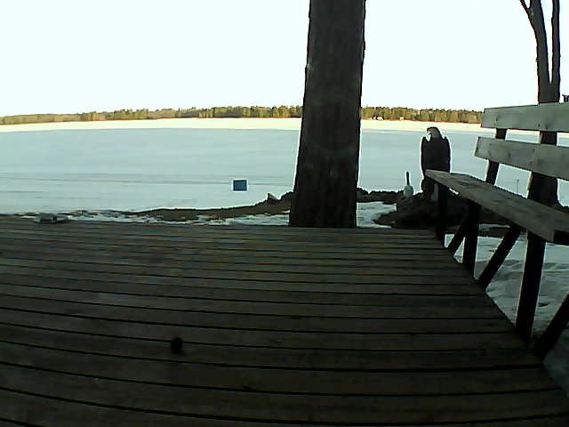 Whiteface Cam Image - Fri, 03/19/2021 7:41am 