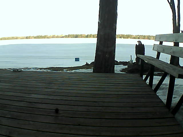 Whiteface Cam Image - Fri, 03/19/2021 8:16am 