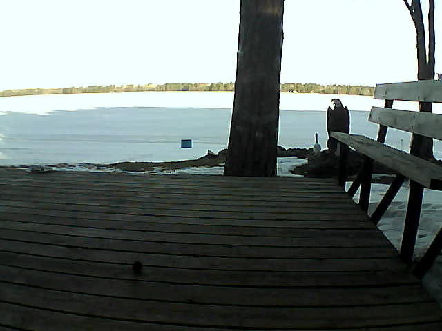 Whiteface Cam Image - Fri, 03/19/2021 8:33am 