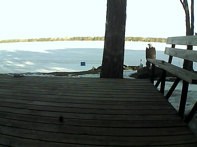 Whiteface Cam Image - Fri, 03/19/2021 8:44am 