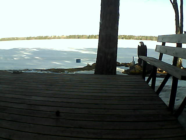 Whiteface Cam Image - Fri, 03/19/2021 9:05am 