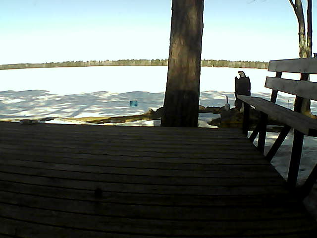 Whiteface Cam Image - Fri, 03/19/2021 10:47am 