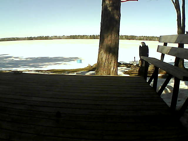 Whiteface Cam Image - Fri, 03/19/2021 12:20pm 