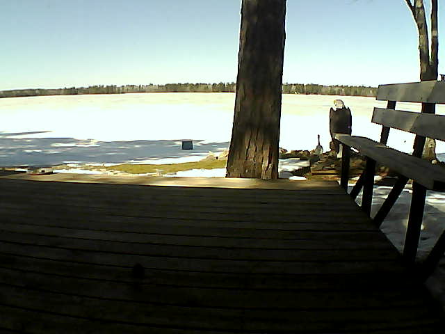 Whiteface Cam Image - Fri, 03/19/2021 1:00pm 