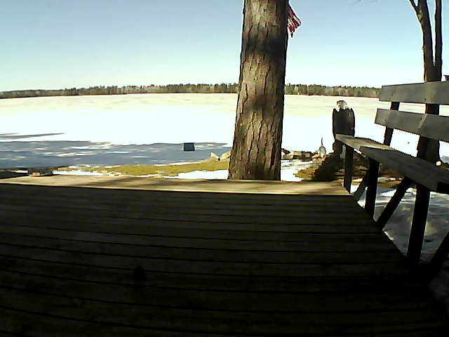 Whiteface Cam Image - Fri, 03/19/2021 1:13pm 