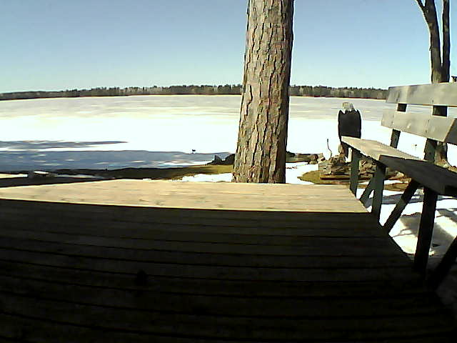 Whiteface Cam Image - Fri, 03/19/2021 2:01pm 