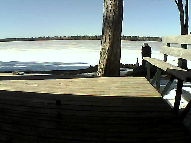 Whiteface Cam Image - Fri, 03/19/2021 2:45pm 