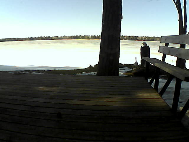 Whiteface Cam Image - Fri, 03/19/2021 3:58pm 